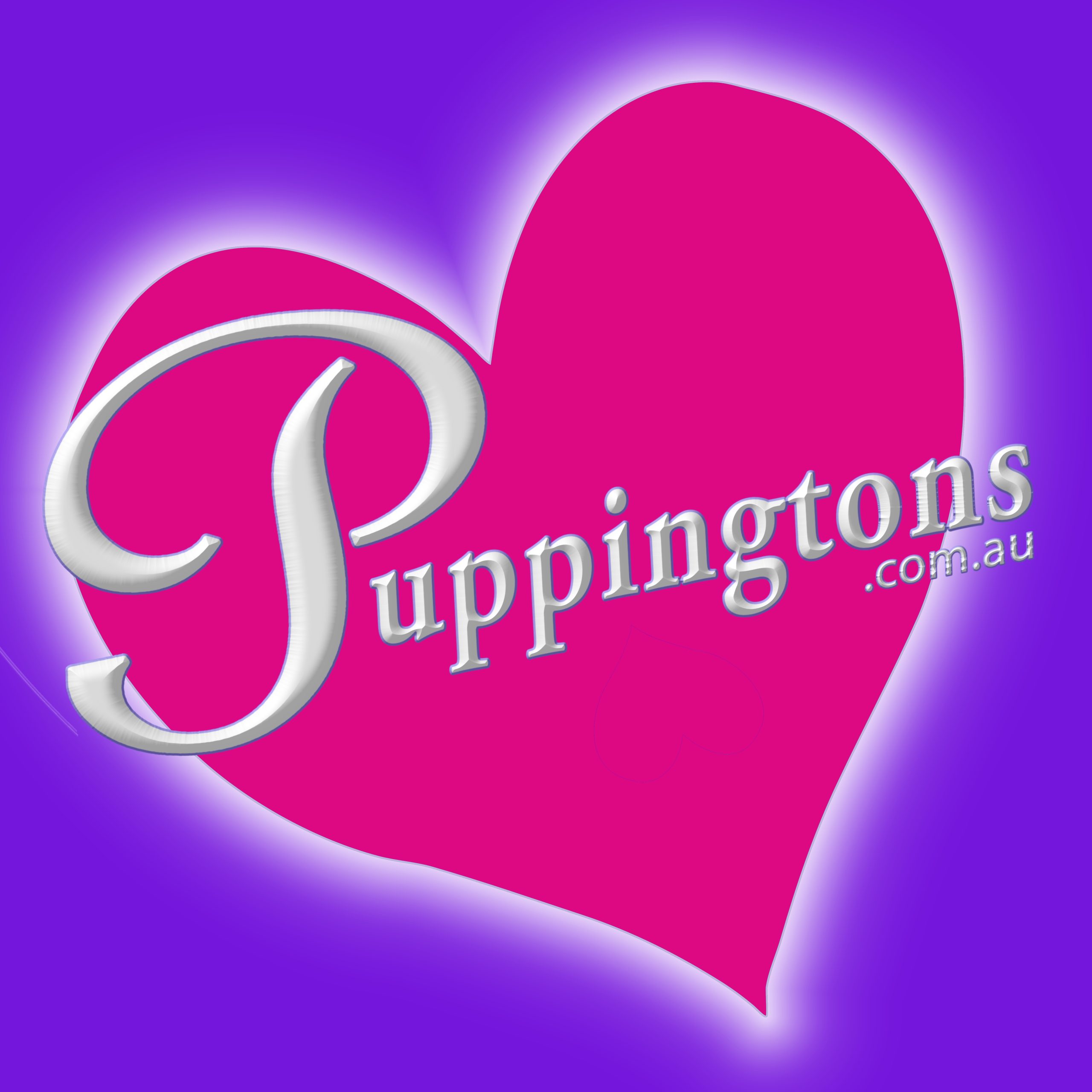 Puppingtons – Platinum Exhibitor